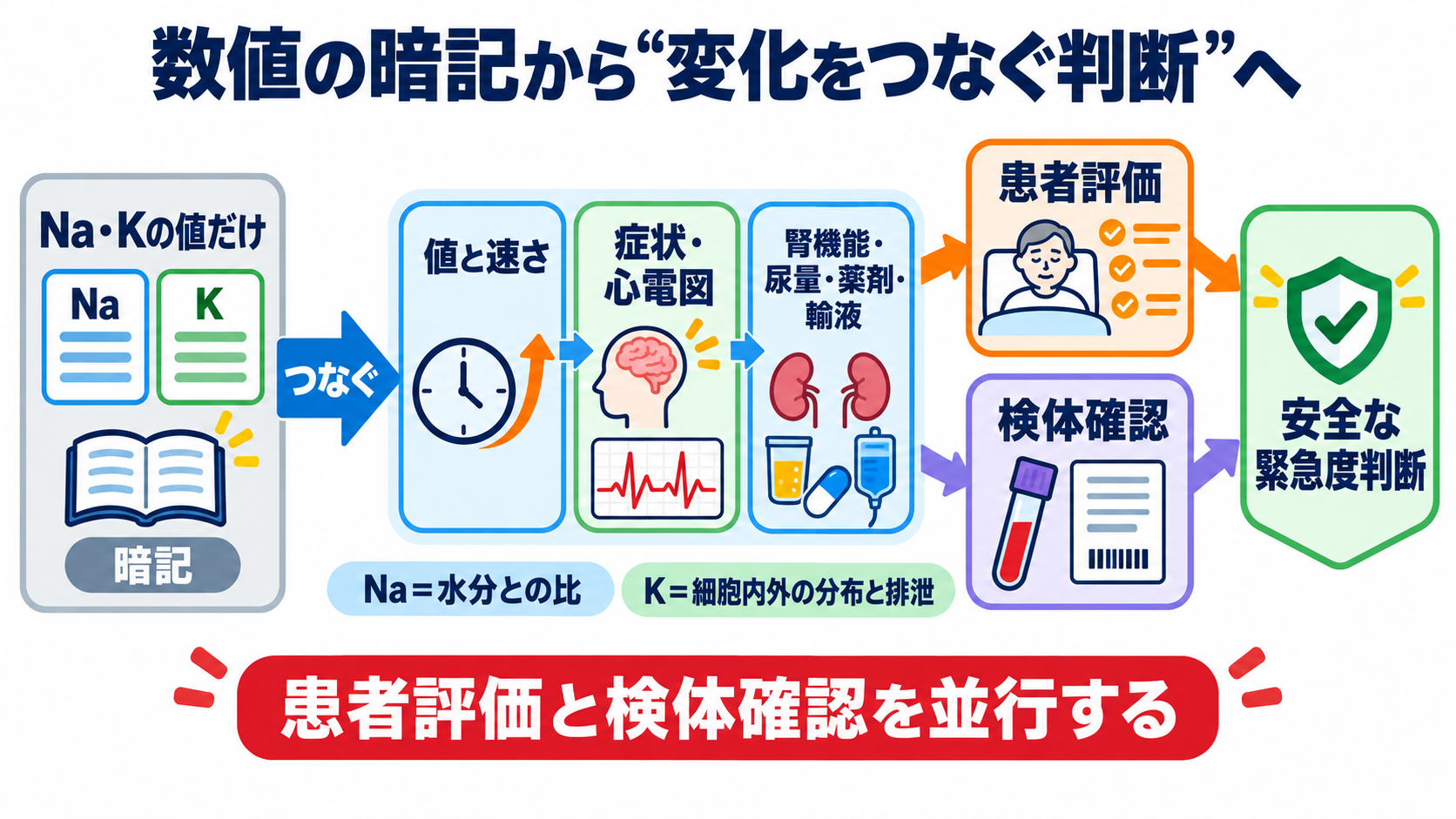 Na・K異常の読み方｜症状・心電図・採血エラーをつないで緊急度を判断する：Na・K異常は「数値の暗記」から「変化をつなぐ判断」へ進めるの図解