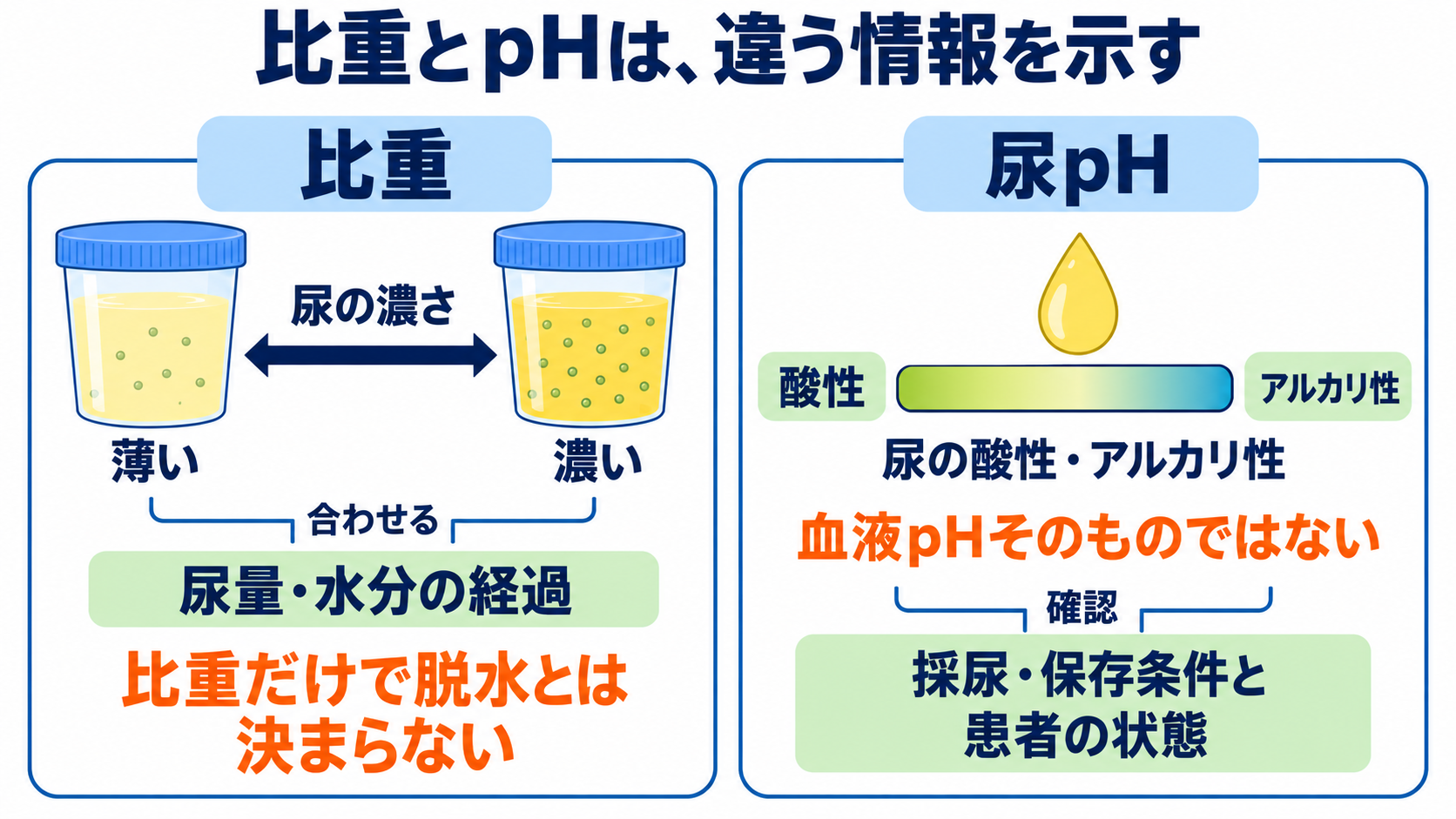 尿一般の項目一覧から、結果の読み方と看護での確認点を学ぶ：比重とpHは、尿の濃さと排泄の状態を読む項目の図解