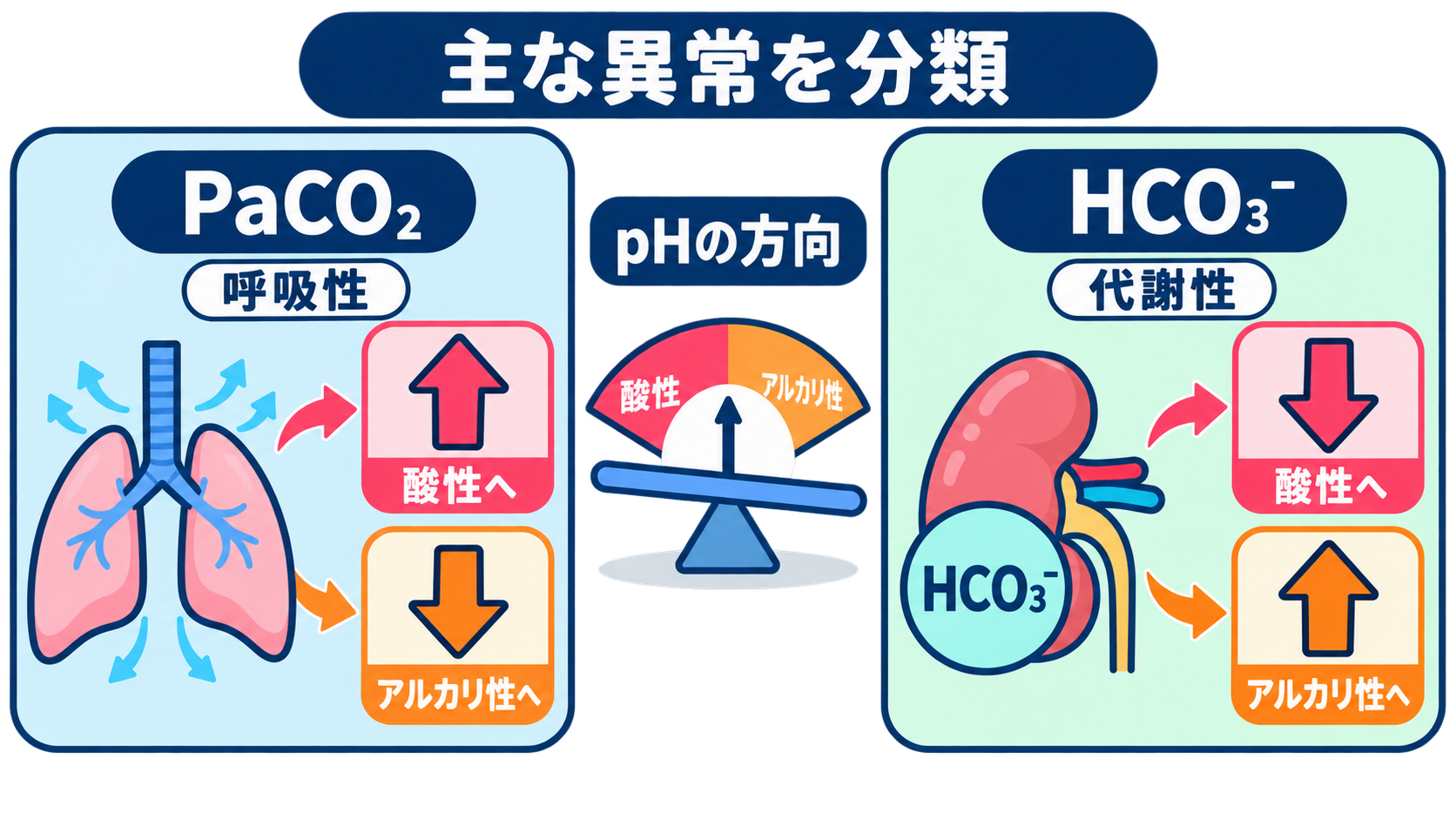血液ガスの読み方｜pH・換気・酸素化を3ステップで看護判断へつなげる：ステップ2：PaCO₂とHCO₃⁻から主な異常を分類するの図解