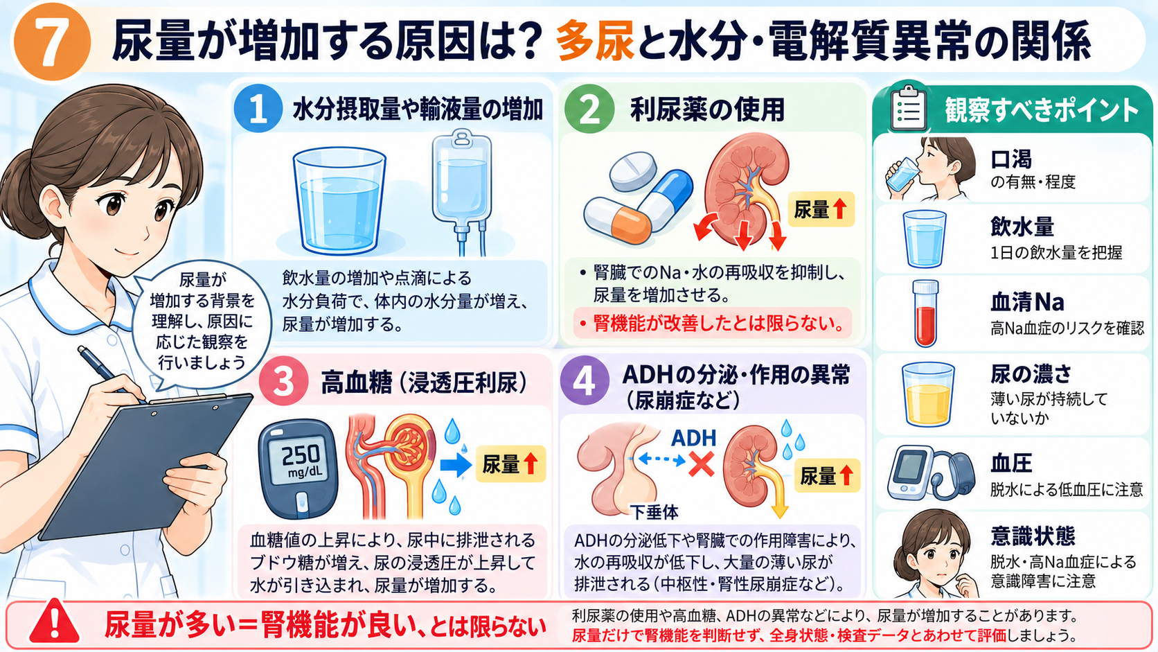 尿量の見かた｜なぜ確認する？正常の目安・尿量が減る原因・看護観察のポイント：尿量が増加する原因は？多尿と水分・電解質異常の関係の図解