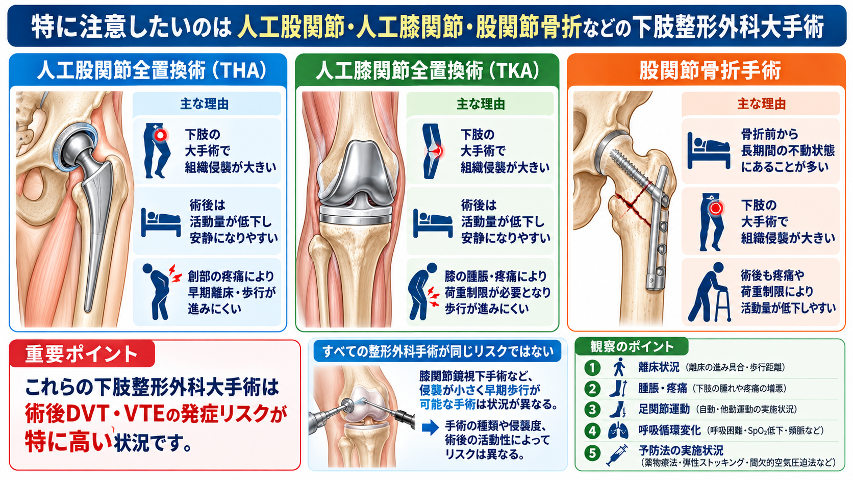 深部静脈血栓症を起こしやすい手術とは？術後DVTのリスクと予防・看護観察を解説：特に注意したいのは人工股関節・人工膝関節・股関節骨折などの下肢整形外科大手術の図解