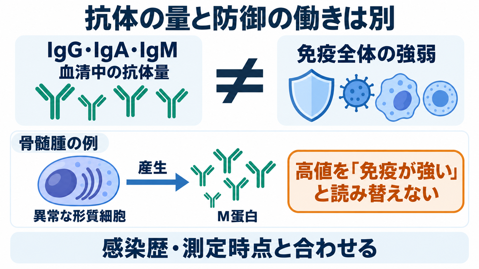 免疫の種類と主な検査の一覧：抗体・補体の働きと看護での読み方：IgG・IgA・IgMの高低は、免疫の強弱をそのまま表さないの図解