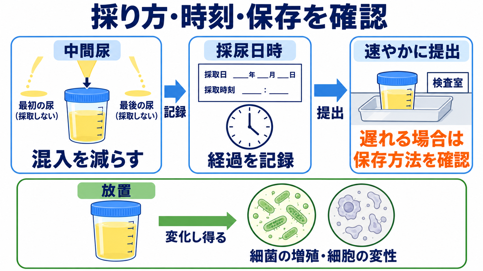 尿一般の項目一覧から、結果の読み方と看護での確認点を学ぶ：結果を読む前に、採り方・採った時刻・保存を確かめるの図解