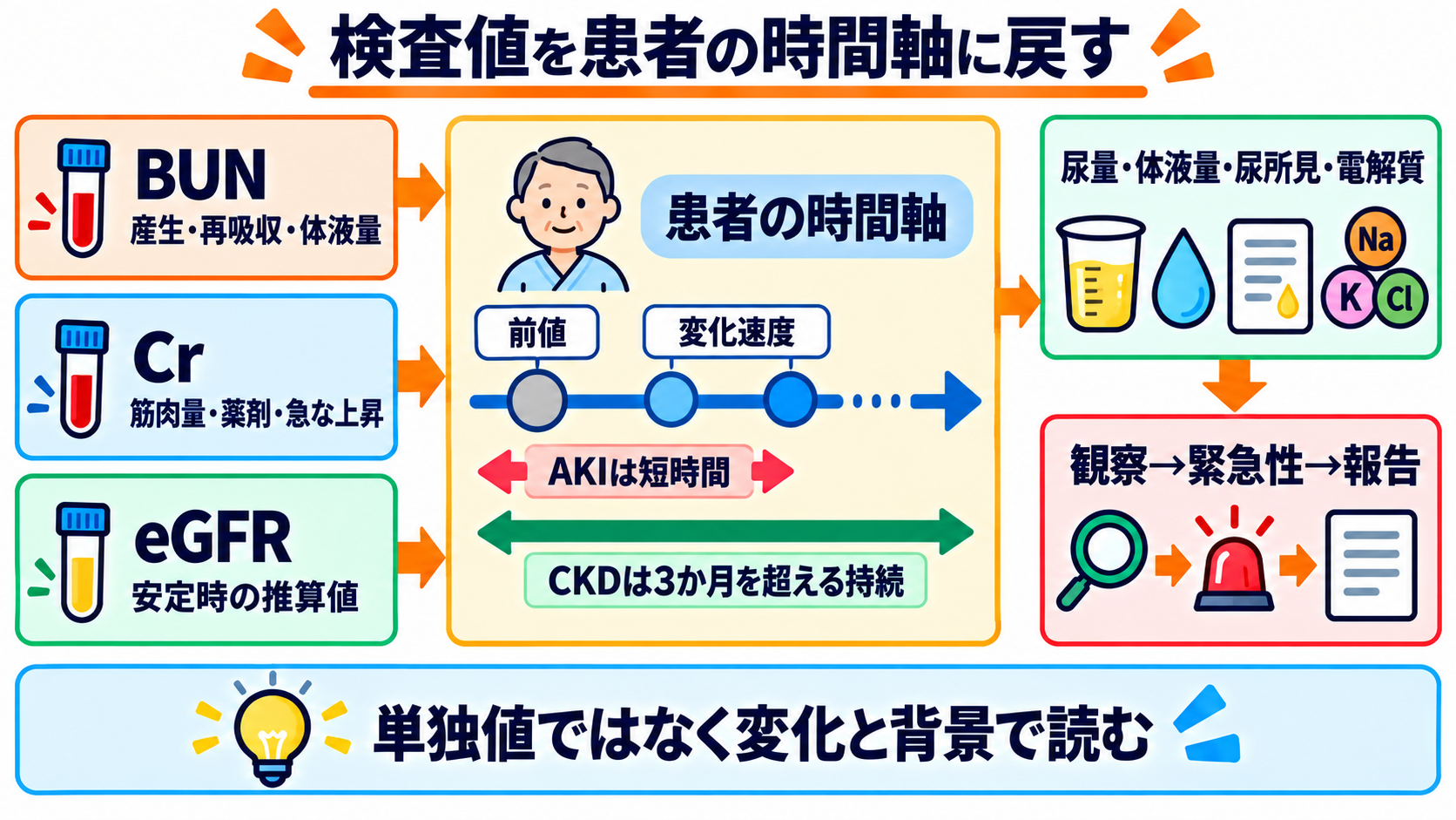 腎機能データの見方｜BUN・Cr・eGFRを「単独値」ではなく変化と背景で読む：まとめ：検査値を「患者の時間軸」に戻すの図解