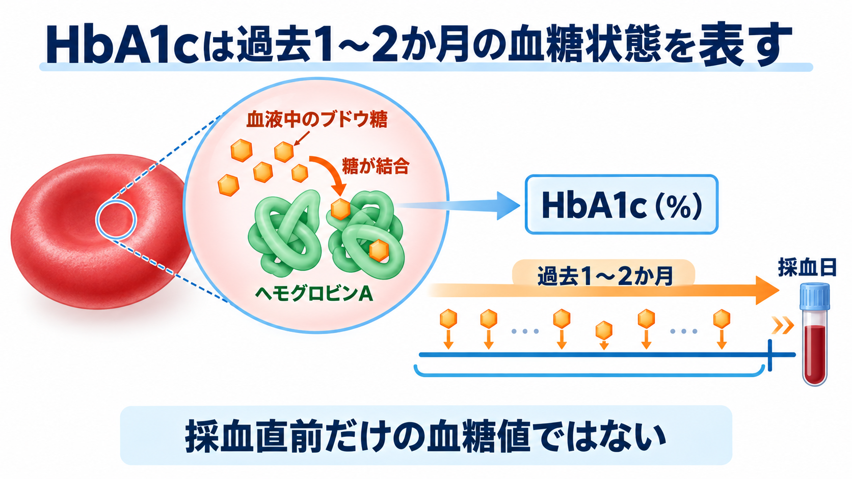 HbA1cとは？血糖値との違いと数値の読み方を看護師向けに解説：HbA1cは過去1～2か月の平均的な血糖状態を表すの図解