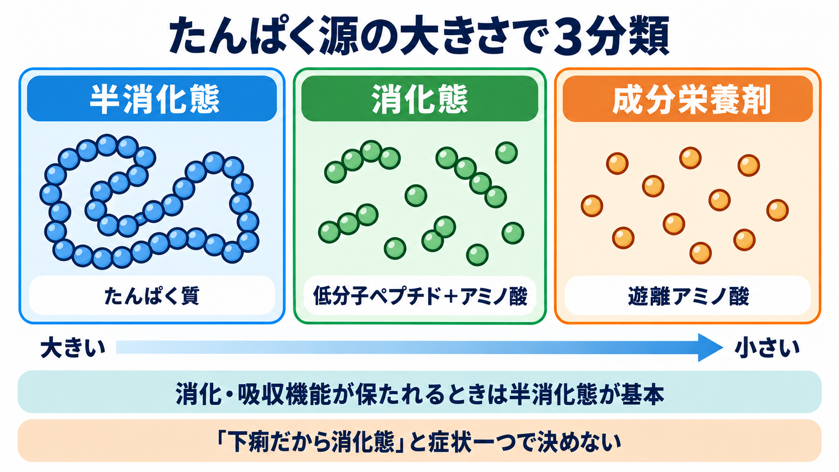 経腸栄養剤を商品名で理解する：種類・熱量密度・選び方と看護観察：半消化態・消化態・成分栄養剤は「たんぱく源の大きさ」で区別するの図解