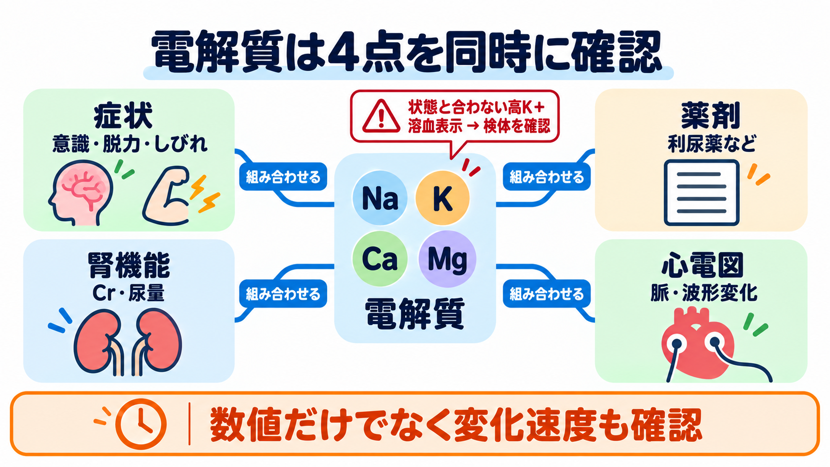看護で使える検査値の読み方大全―血算・電解質から血液ガス、培養、画像検査まで：電解質は症状、腎機能、薬剤、心電図を同時に確認するの図解