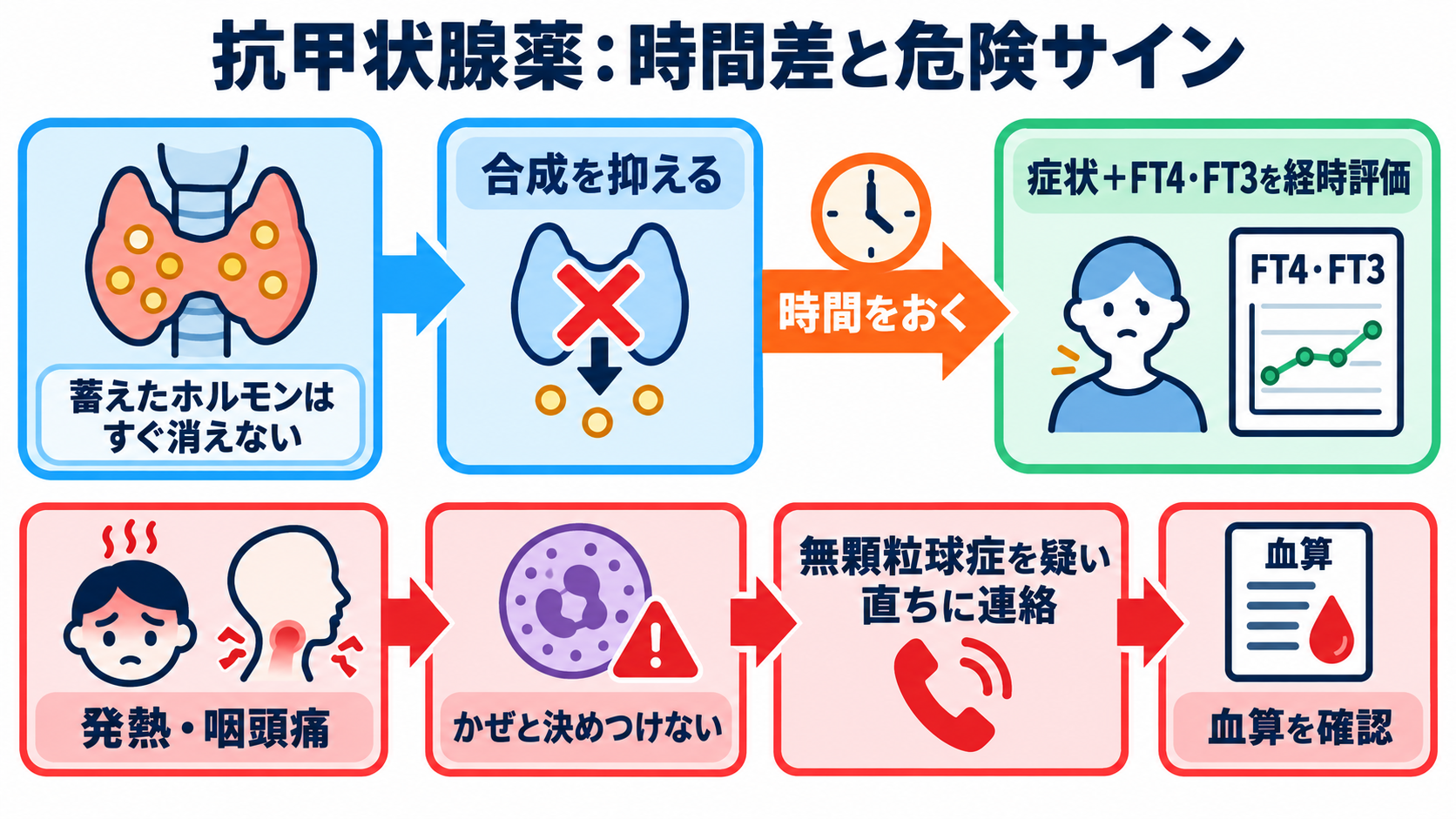 内分泌内科で使われる薬剤を「作用と観察」で理解する：甲状腺・下垂体・副腎・骨代謝の基本：抗甲状腺薬では「効くまでの時間」と無顆粒球症の初期症状を押さえるの図解