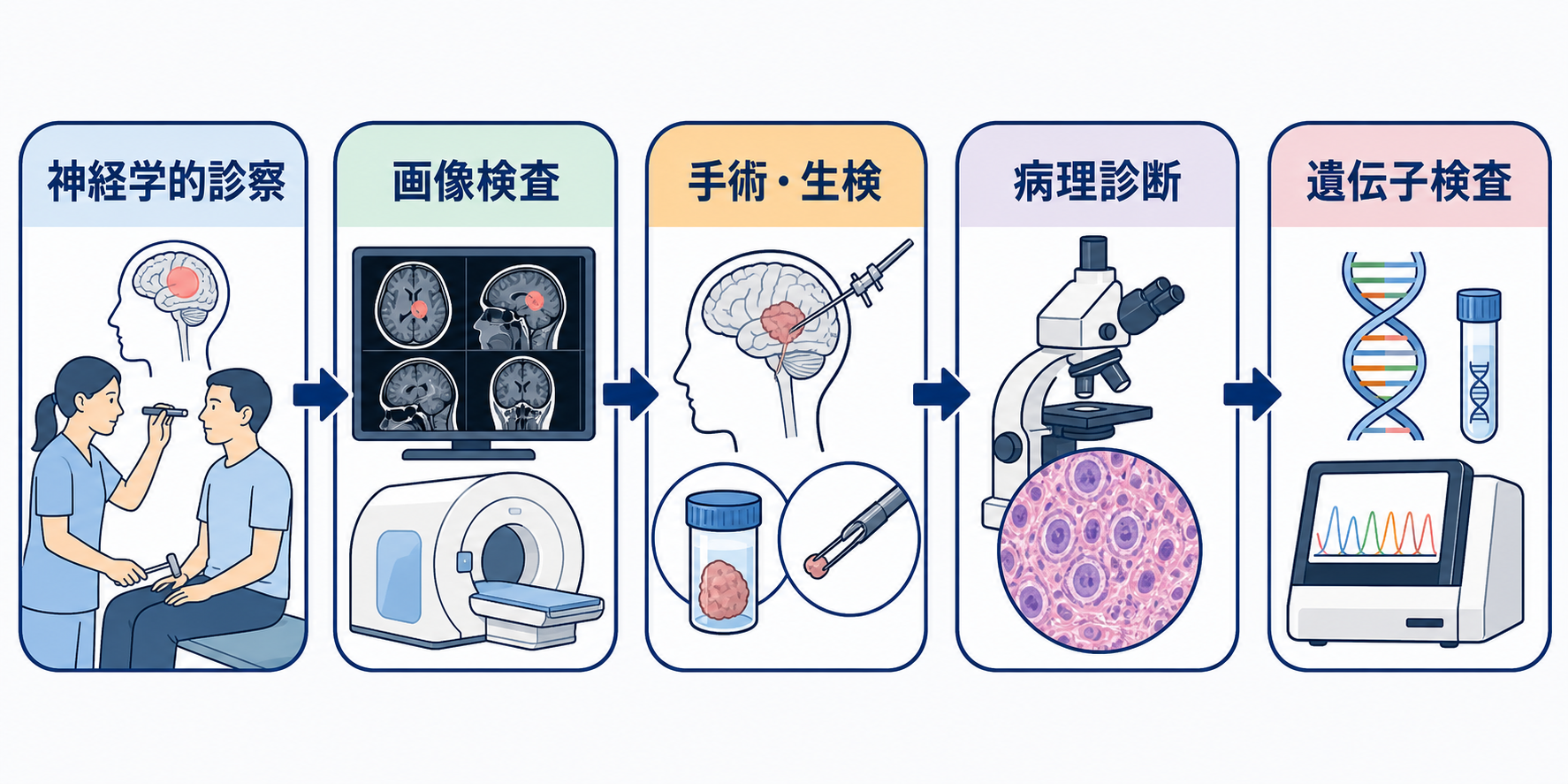 脳腫瘍とは？種類・症状・検査・治療と看護で押さえる観察ポイント：脳腫瘍の診断はMRIだけでは完結せず、病理・遺伝子診断までつながるの図解