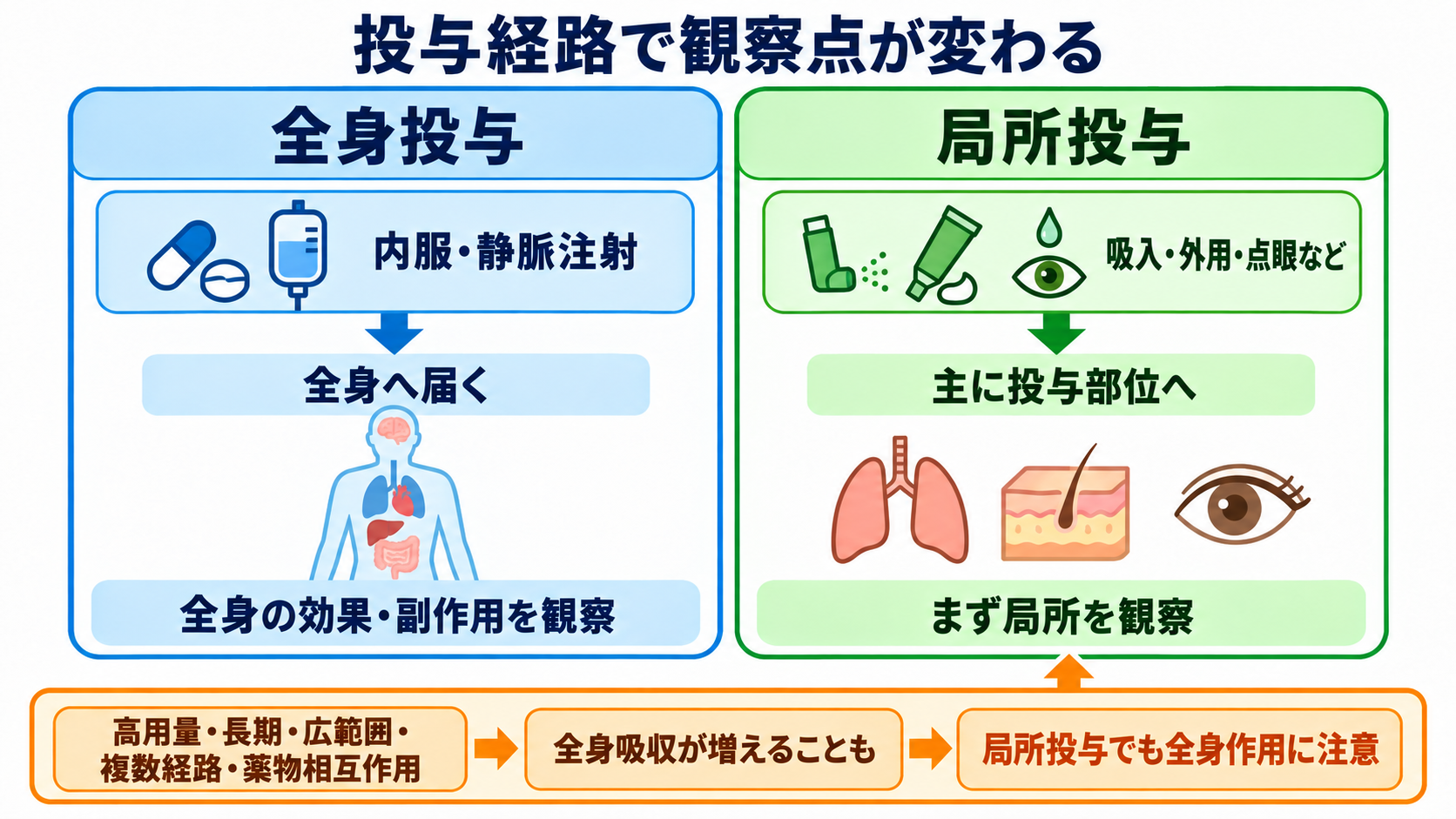 ステロイドとは？作用・副作用の理由と看護観察を基礎から理解する：内服・注射・吸入・外用では、作用する範囲と観察点が異なるの図解