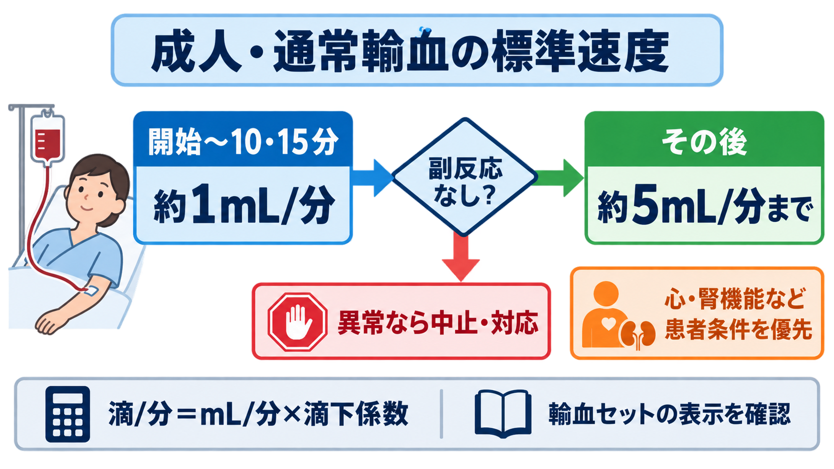 輸血看護の基本｜赤血球・血小板・FFPの違い、滴下速度、観察、副反応時の対応：成人の標準速度は、最初の10～15分を約1mL/分、その後は約5mL/分の図解