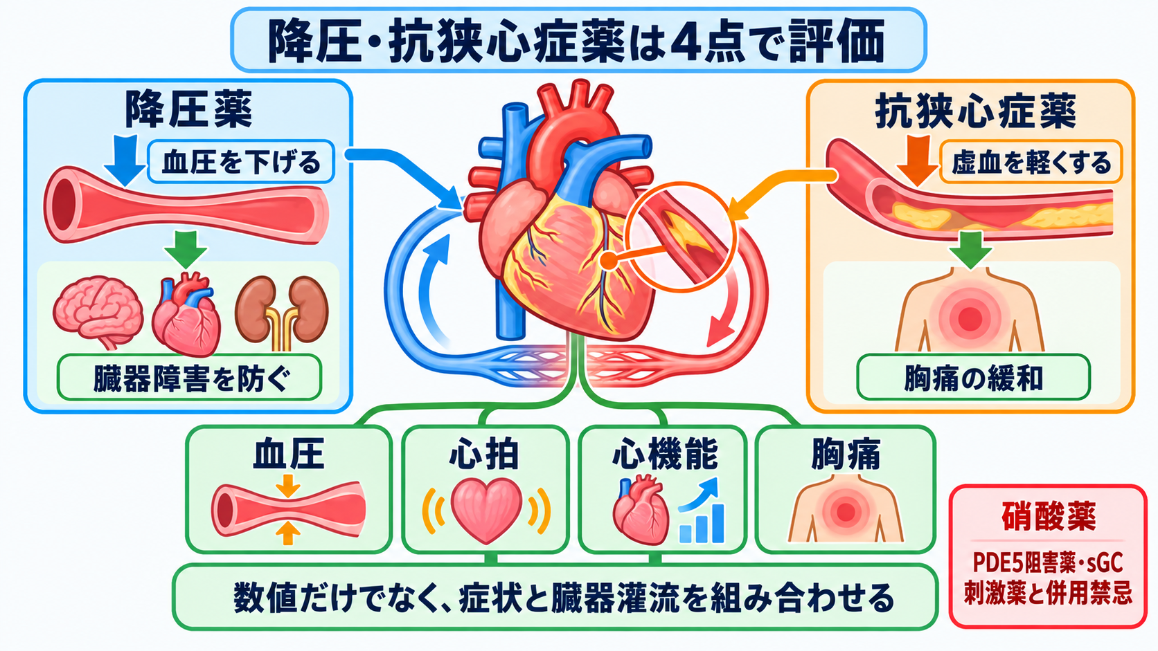 循環器で使われる薬剤を目的から理解する―作用・副作用と看護観察のつなげ方：降圧薬と抗狭心症薬は血圧だけでなく心拍・心機能・胸痛で評価するの図解