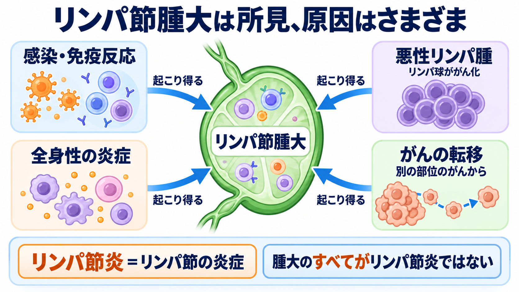 リンパ節の働きと腫れの見方を、看護の観察につなげる：リンパ節腫大は所見であり、リンパ節炎は原因の一つの図解