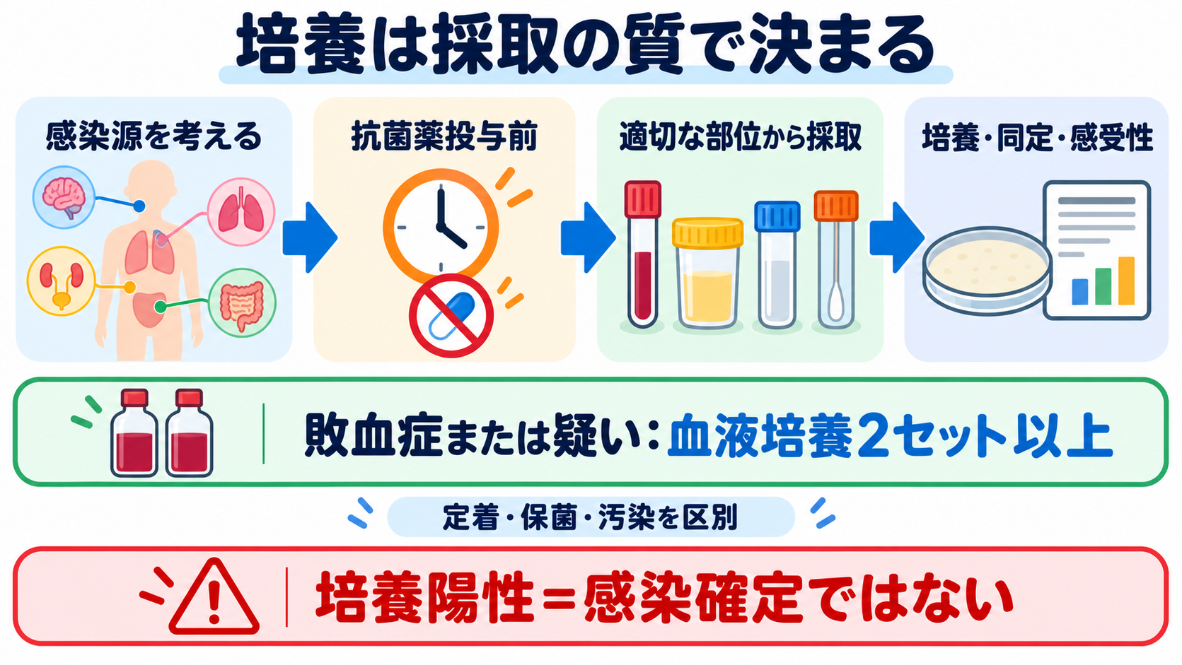 看護で使える検査値の読み方大全―血算・電解質から血液ガス、培養、画像検査まで：培養・迅速検査では、抗菌薬前の適切な検体採取が診断精度を左右するの図解