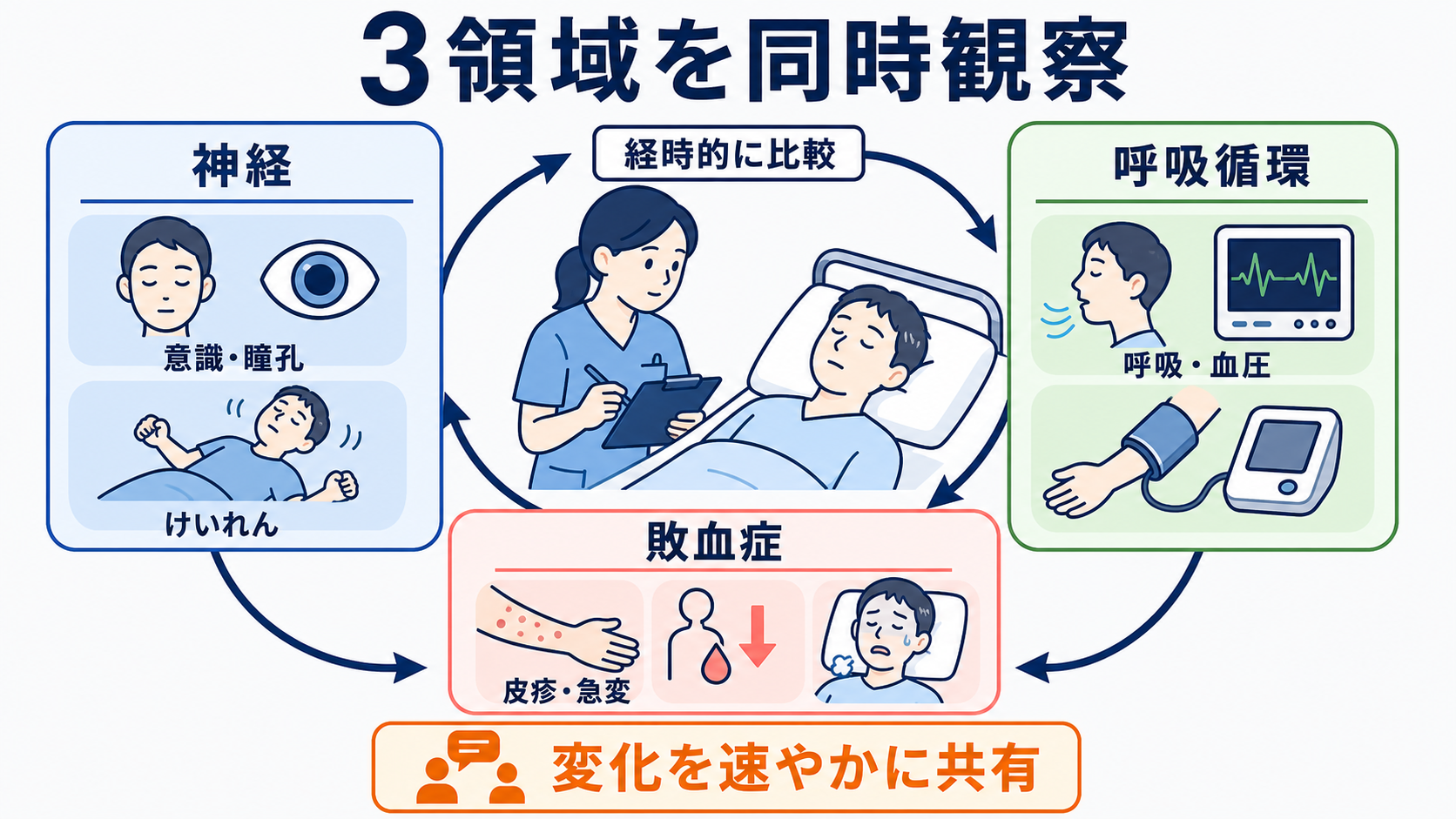 髄膜炎とは？症状・髄液所見・治療の流れと看護で見るポイントをわかりやすく解説：看護では「神経」「呼吸循環」「敗血症」を同時に観察するの図解