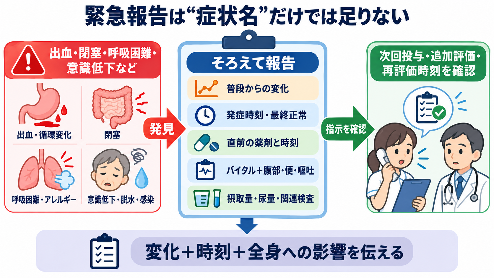 消化器で使われる薬剤の基本：作用の理由、副作用、看護観察を目的別に理解する：緊急報告では症状名だけでなく、変化と関連情報を伝えるの図解