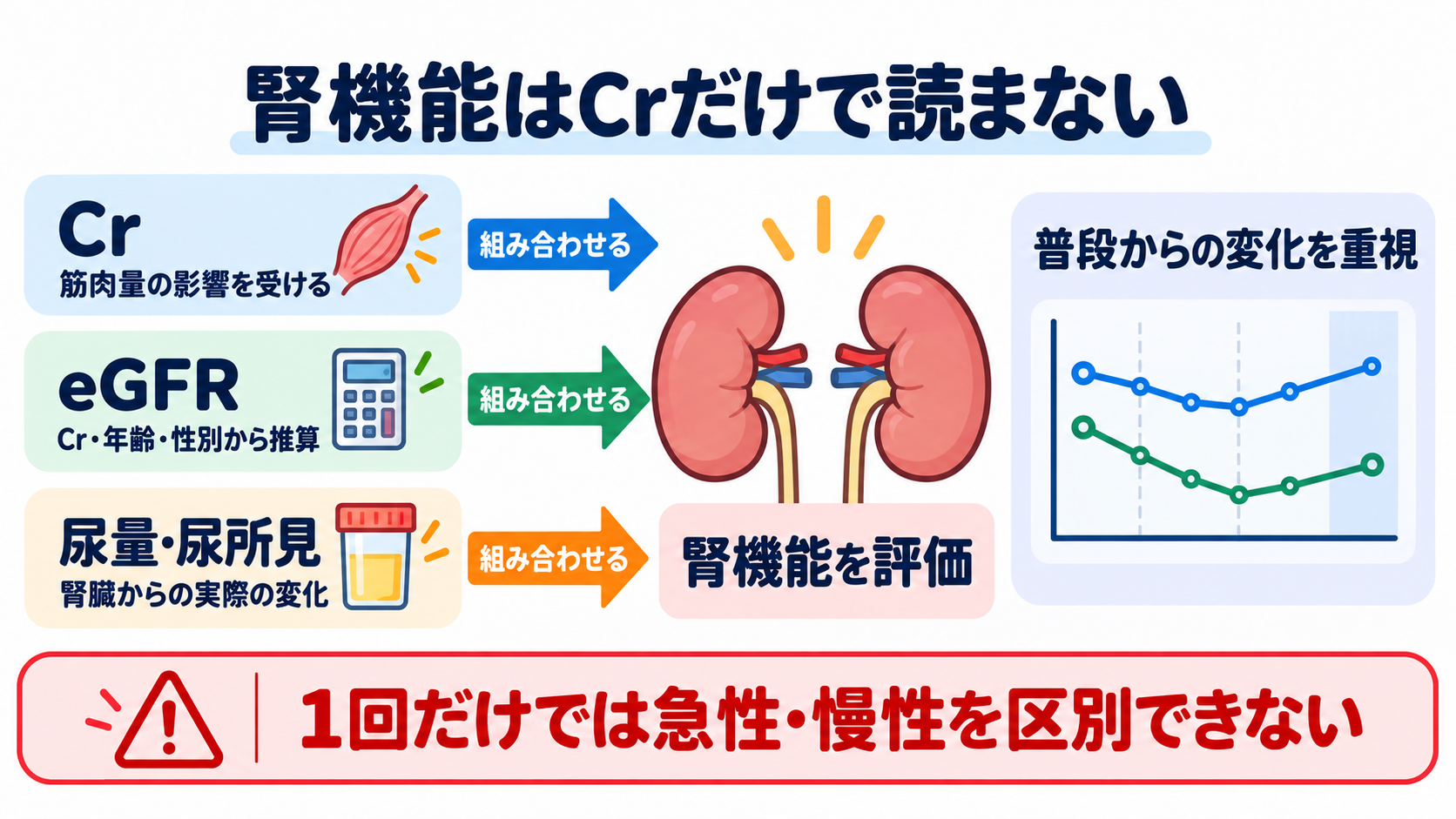 看護で使える検査値の読み方大全―血算・電解質から血液ガス、培養、画像検査まで：腎機能はクレアチニンだけでなく、尿量、eGFR、尿所見で読むの図解