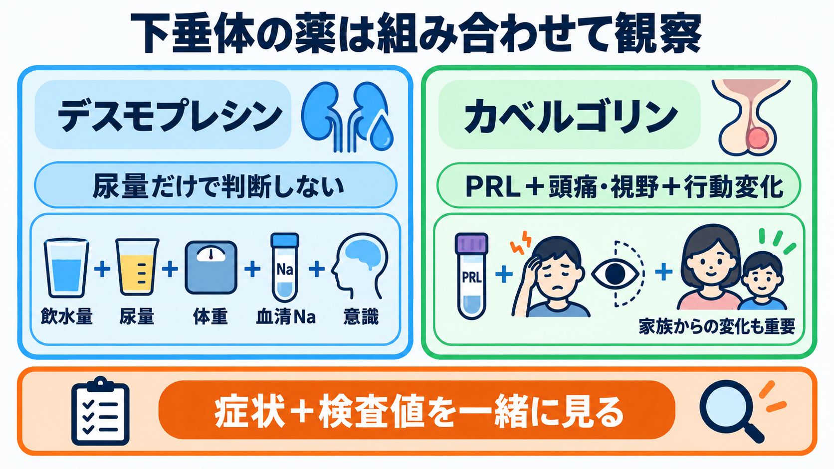 内分泌内科で使われる薬剤を「作用と観察」で理解する：甲状腺・下垂体・副腎・骨代謝の基本：下垂体の薬は尿量だけでなく、Na・体重・腫瘍症状・行動変化まで見るの図解
