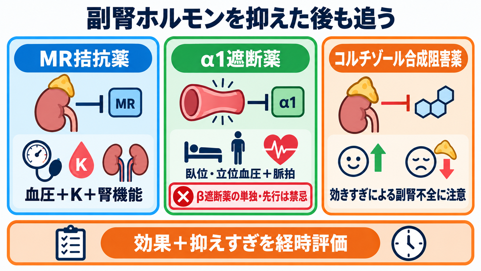 内分泌内科で使われる薬剤を「作用と観察」で理解する：甲状腺・下垂体・副腎・骨代謝の基本：副腎ホルモン過剰を抑える薬では、血圧・K・腎機能と「抑えすぎ」を追うの図解