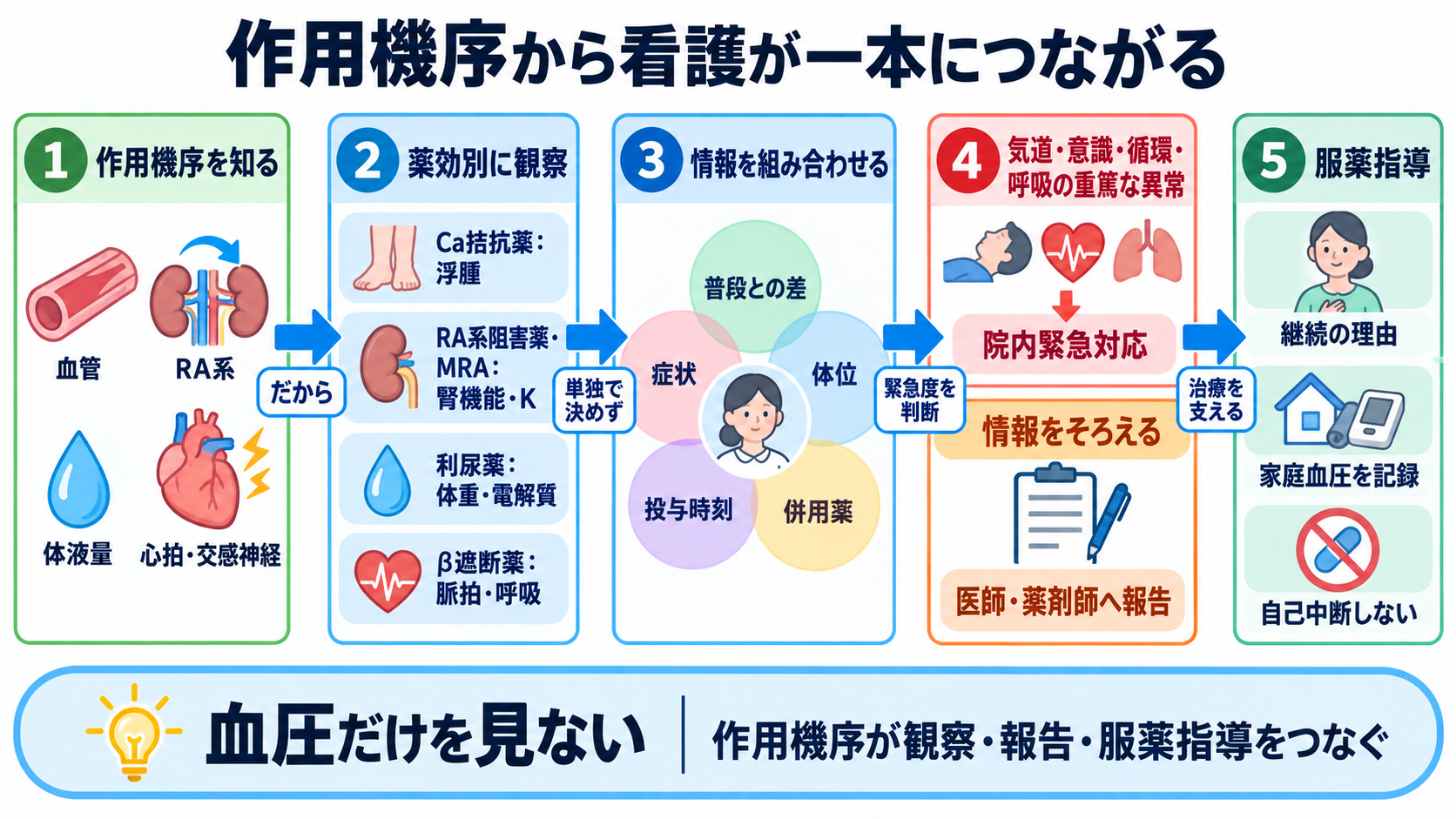降圧剤の種類と観察ポイント｜作用・副作用・服薬指導を新人看護師向けに整理：まとめ：作用機序が分かると、観察・報告・服薬指導が一本につながるの図解