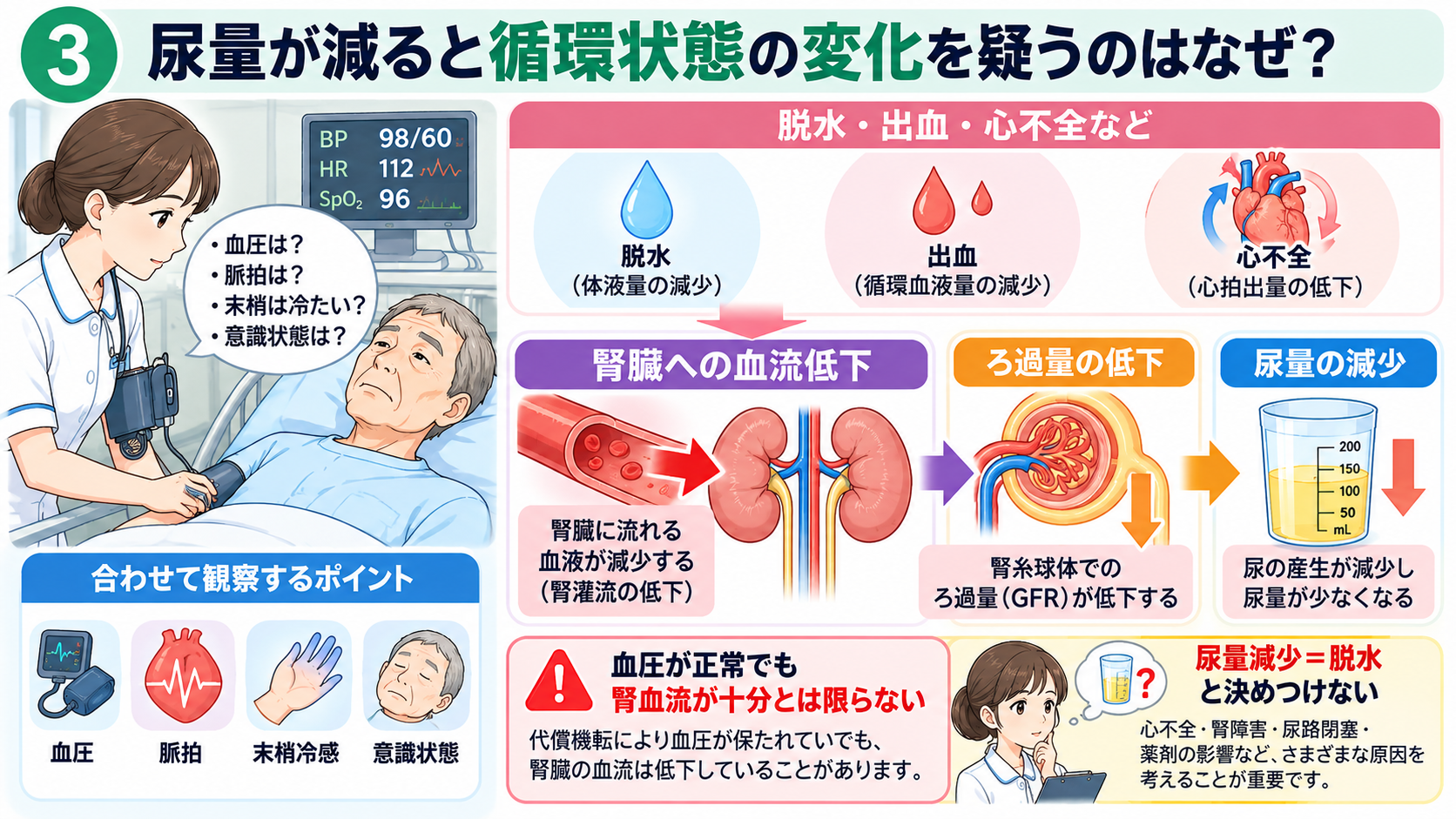 尿量の見かた｜なぜ確認する？正常の目安・尿量が減る原因・看護観察のポイント：尿量が減ると循環状態の変化を疑うのはなぜ？の図解