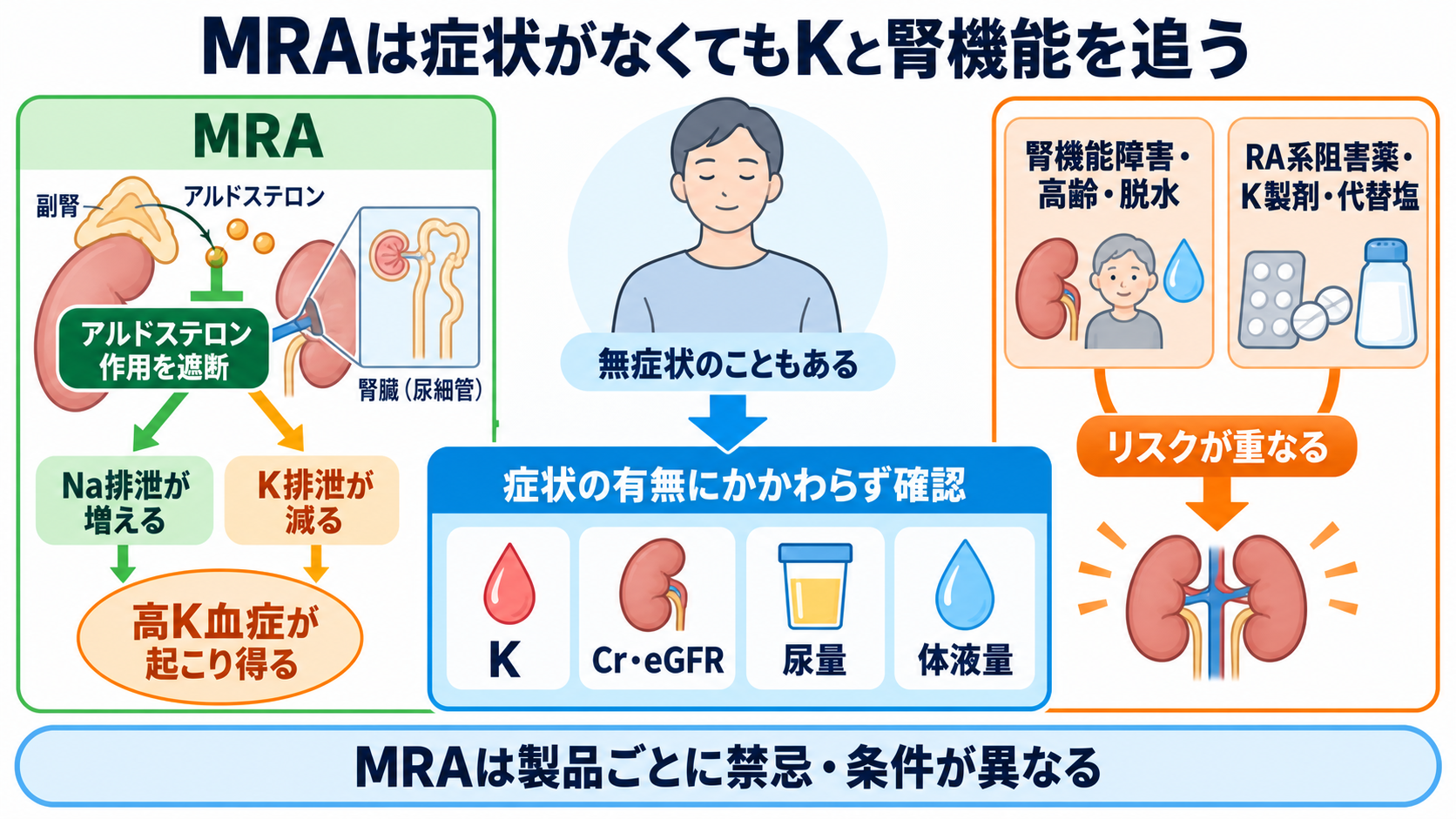 降圧剤の種類と観察ポイント｜作用・副作用・服薬指導を新人看護師向けに整理：MRAでは症状の有無にかかわらずKと腎機能を追うの図解