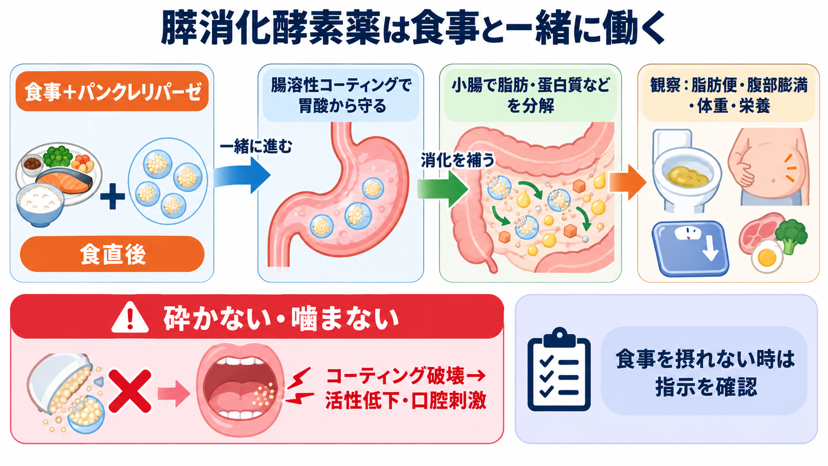 消化器で使われる薬剤の基本：作用の理由、副作用、看護観察を目的別に理解する：膵消化酵素薬は「食事と一緒に働く補充薬」と理解するの図解