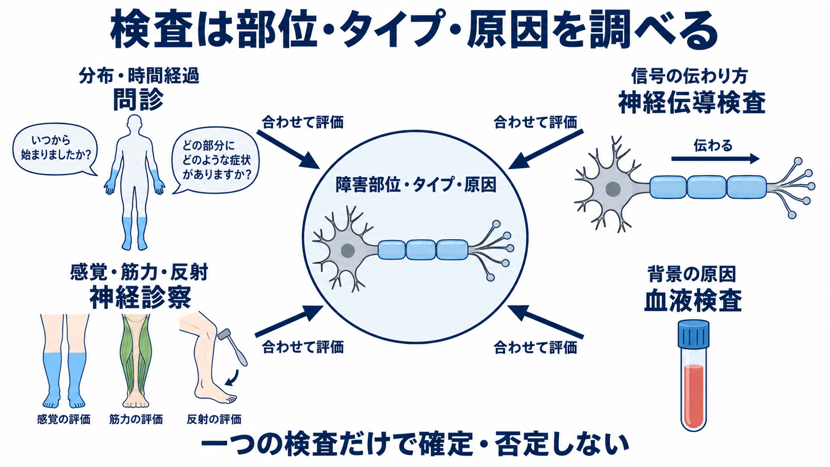 ニューロパチーとは？原因・症状・検査から看護観察と緊急性まで分かりやすく解説：検査では「ニューロパチーの存在」だけでなく、障害部位・タイプ・原因を調べるの図解