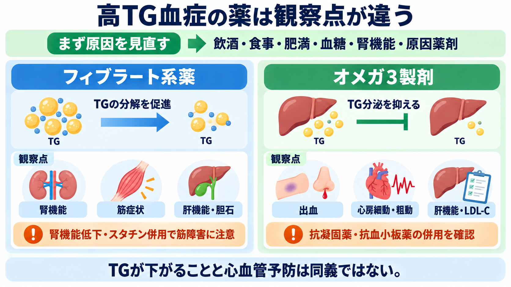 脂質異常症治療薬を整理する：作用・使い分け・副作用と看護観察：高TG血症の薬では腎機能、出血、心房細動まで見るの図解