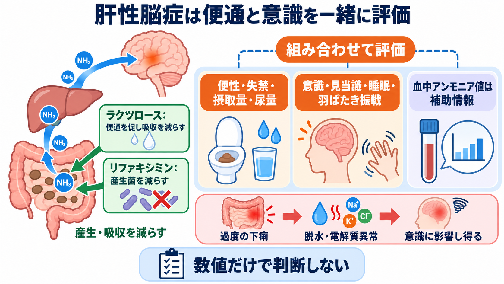 消化器で使われる薬剤の基本：作用の理由、副作用、看護観察を目的別に理解する：肝性脳症では便通と意識を一緒に評価し、アンモニア値だけで判断しないの図解