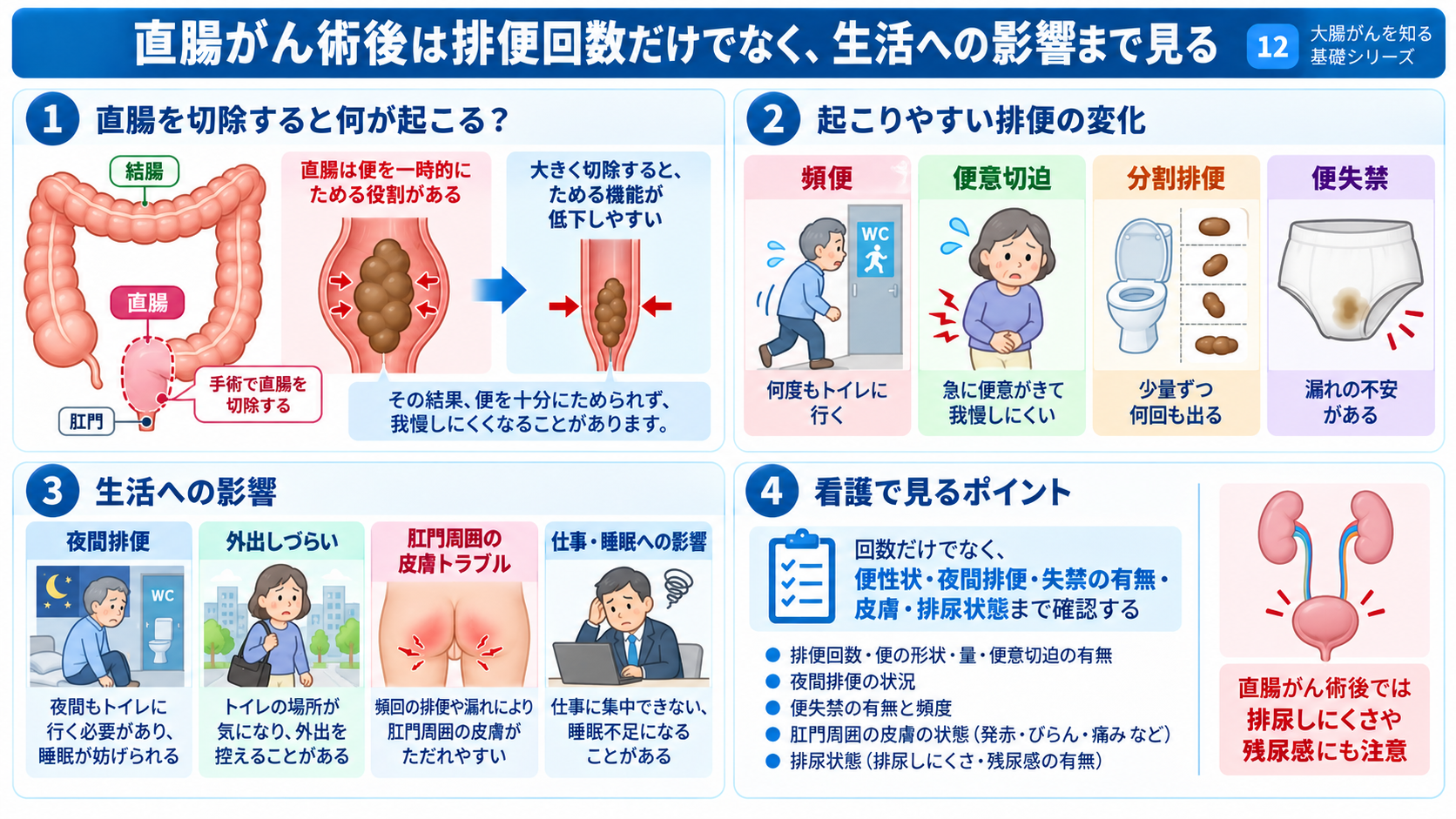 大腸がんとは？症状・検査・治療から術後の看護観察まで分かりやすく解説：直腸がん術後では排便回数だけでなく、便意切迫・分割排便・失禁など生活への影響を見るの図解