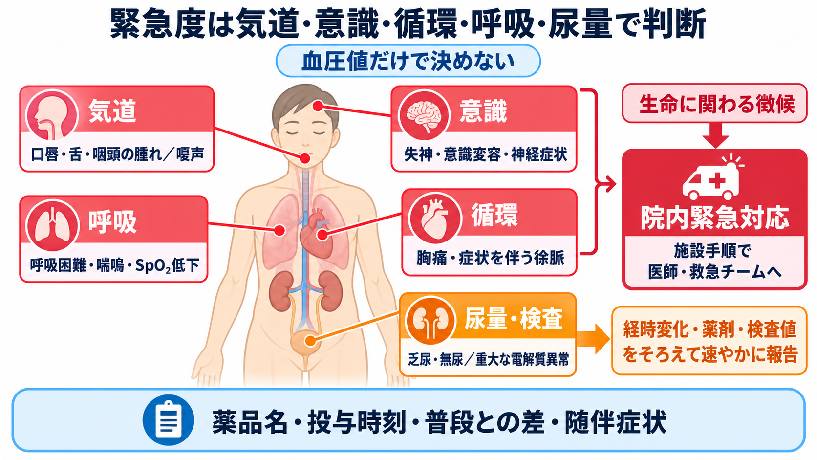 降圧剤の種類と観察ポイント｜作用・副作用・服薬指導を新人看護師向けに整理：緊急度は血圧値だけでなく気道・意識・循環・呼吸・尿量から判断するの図解