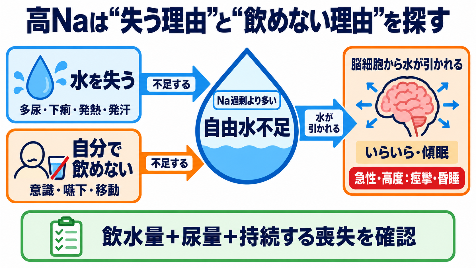 Na・K異常の読み方｜症状・心電図・採血エラーをつないで緊急度を判断する：高Na血症は「水を失った理由」と「自分で飲めない理由」を探すの図解