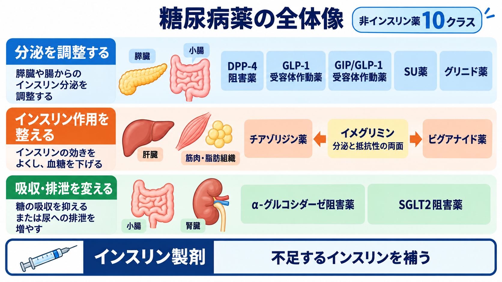 糖尿病薬の種類まとめ｜DPP-4阻害薬・SGLT2阻害薬・GLP-1受容体作動薬の違いと看護の確認ポイント：非インスリン薬は10系統、インスリンは別枠で考えるの図解