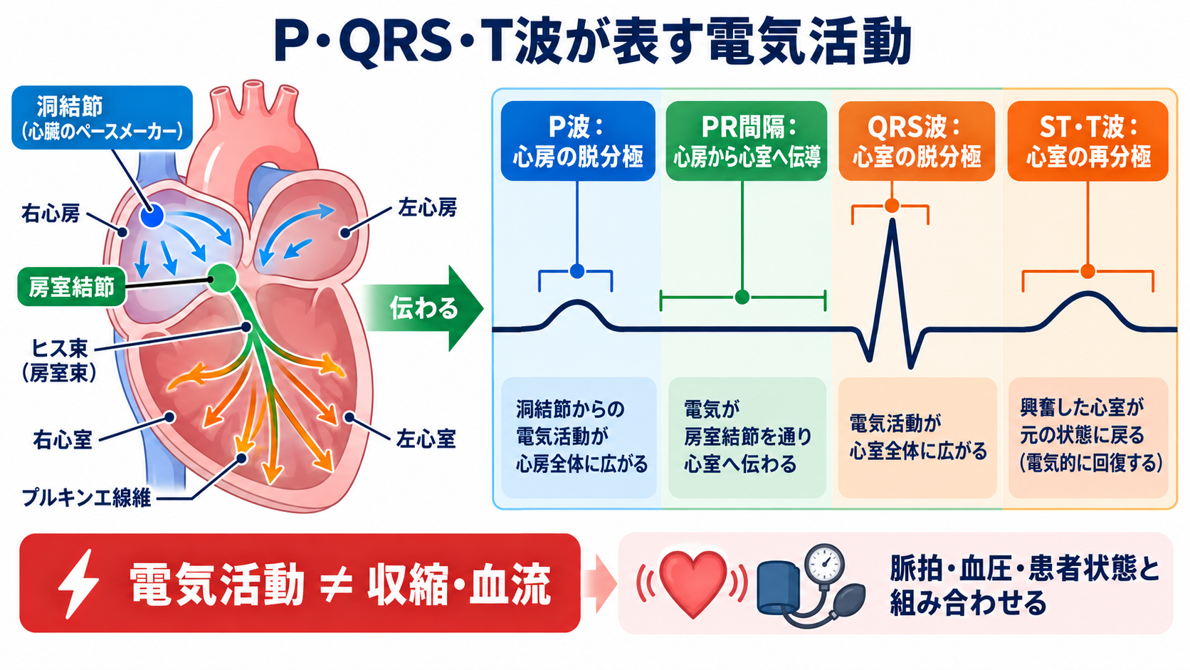 心電図の読み方を基礎から整理｜新人看護師・看護学生のための判読手順と緊急波形：P・QRS・T波は心臓を進む電気活動を表しているの図解