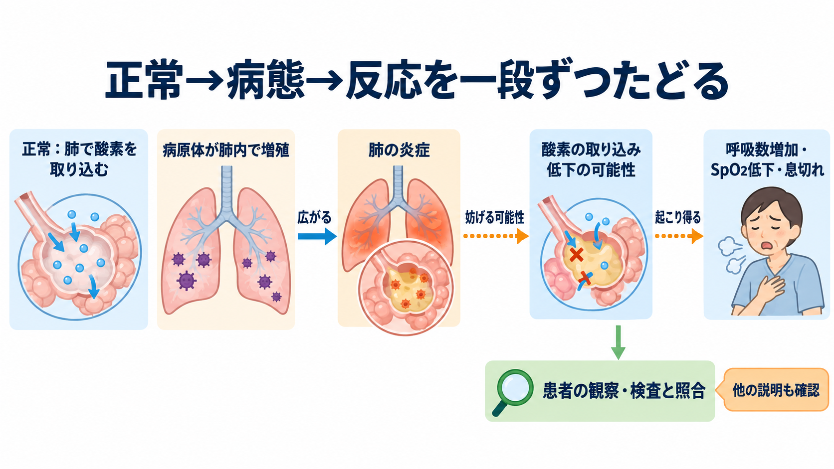 関連図の書き方を6ステップで解説｜患者情報・病態・看護をつなぐ考え方：ステップ3｜「正常→病態→反応」の順で、矢印1本ずつ根拠を確かめるの図解