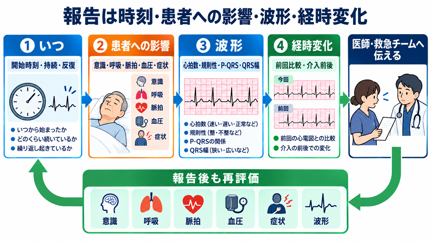 心電図の読み方を基礎から整理｜新人看護師・看護学生のための判読手順と緊急波形：報告は「時刻・患者への影響・波形・経時変化」をそろえるの図解