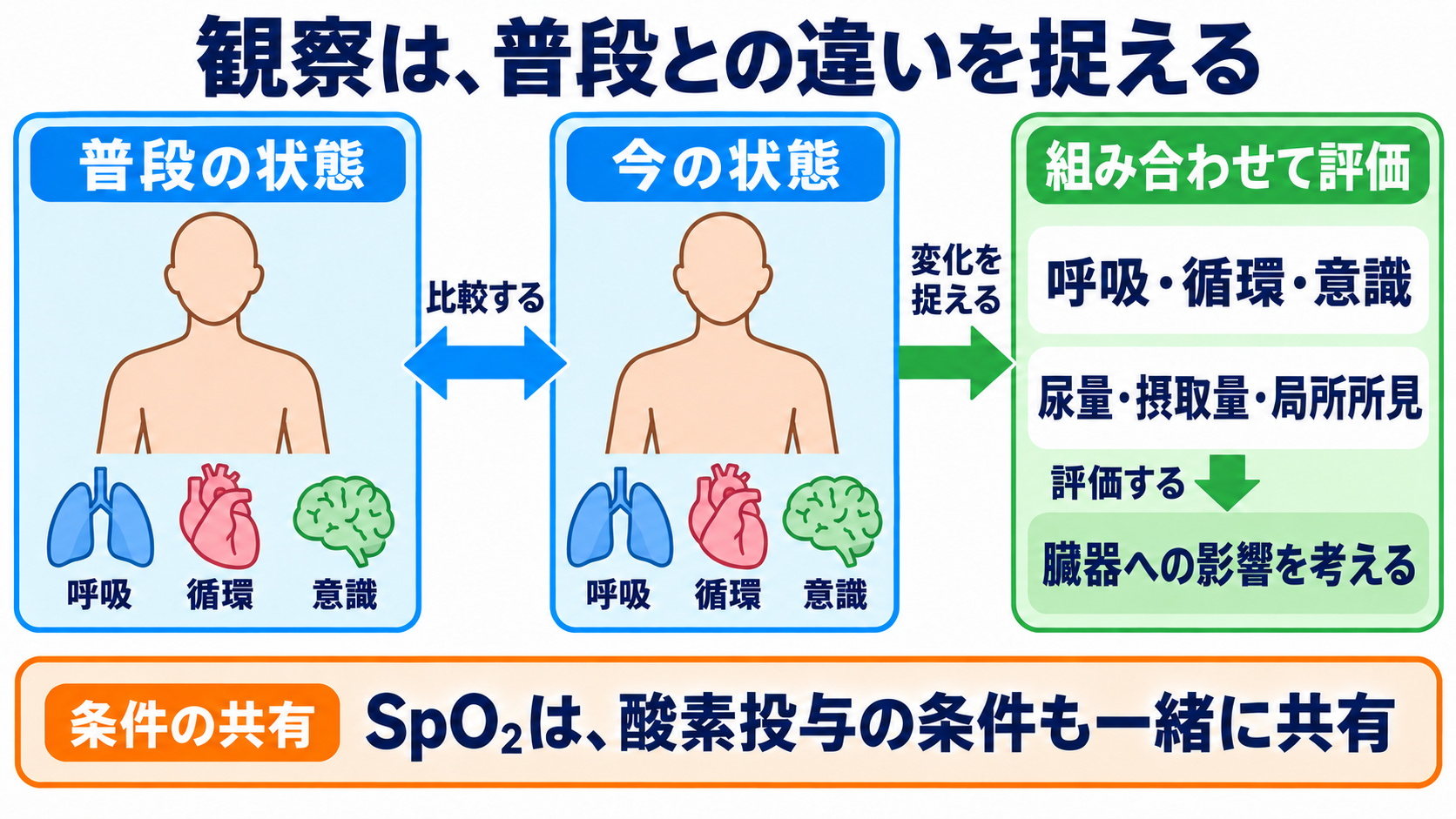 主な感染症の一覧から、検査の目的と看護観察の要点を学ぶ：観察は普段との違いを捉え、臓器への影響と緊急性につなげるの図解