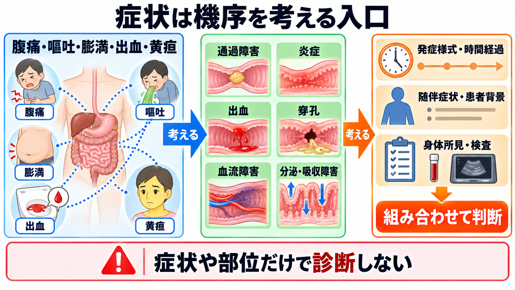 消化器の解剖を流れで理解する｜臓器・腹膜・血流と看護観察の意味：症状は「構造のどこで、何が妨げられたか」を考える入口になるの図解