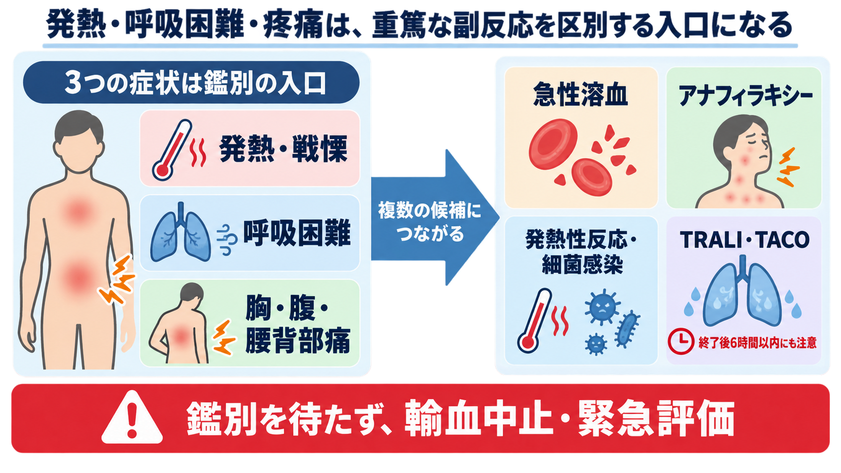 輸血看護の基本｜赤血球・血小板・FFPの違い、滴下速度、観察、副反応時の対応：発熱・呼吸困難・疼痛は、重篤な副反応を区別する入口になるの図解