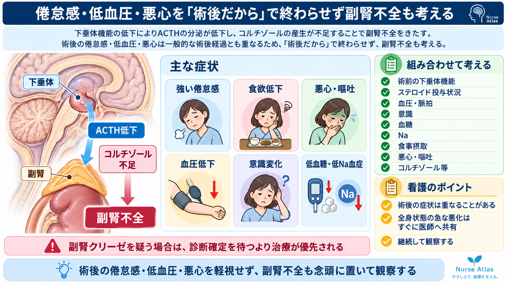 脳下垂体腫瘍とは？症状・ホルモン異常・治療と術後看護の観察ポイント：倦怠感・低血圧・悪心を「術後だから」で終わらせず副腎不全も考えるの図解